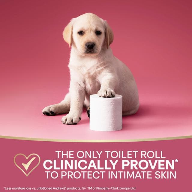 Andrex Skin Protect 4 x Standard Toilet Tissue Rolls - gallery image 2