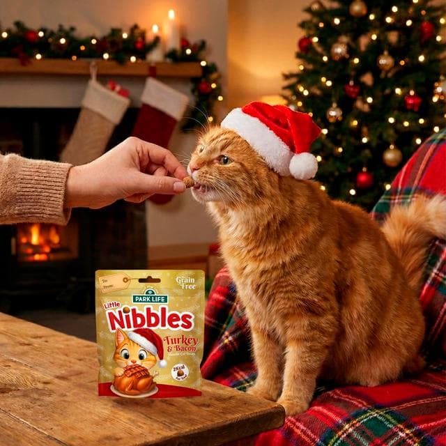 Park Life Little Nibbles Turkey & Bacon Flavour Cat Treats - gallery image 6