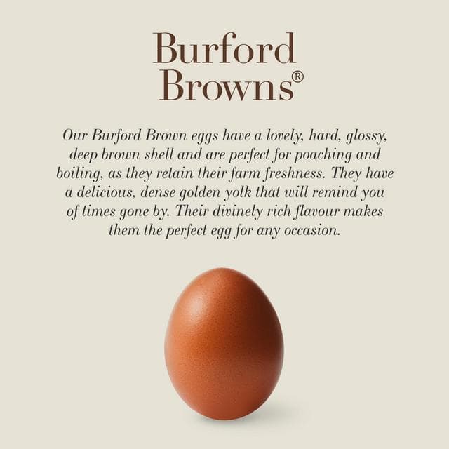 Clarence Court Mabel Pearman's Burford Browns 10 x Medium Free Range Eggs - gallery image 3