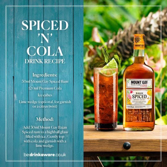 Mount Gay 70cl Bajan Spiced Rum Based Spirit - gallery image 6