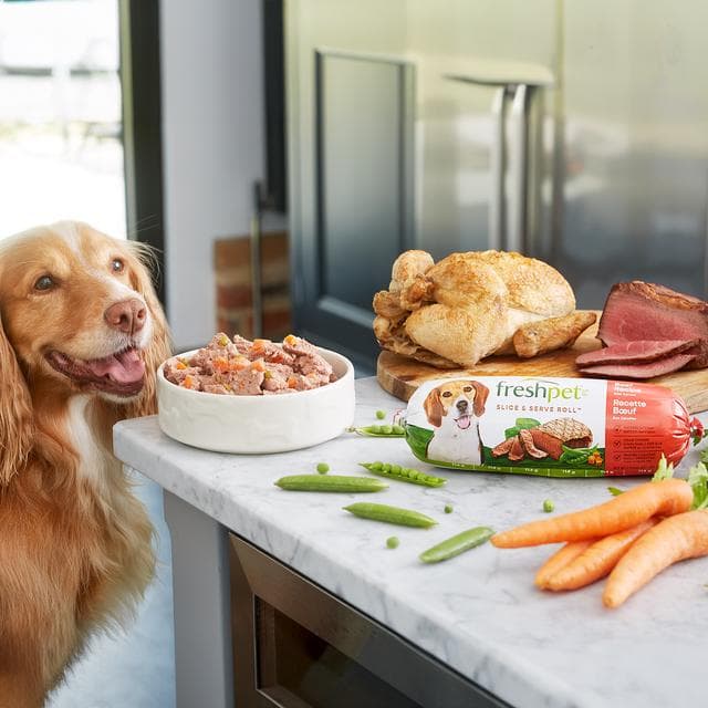 Freshpet 700g Beef Recipe with Peas & Carrots Fresh Dog Food - gallery image 4