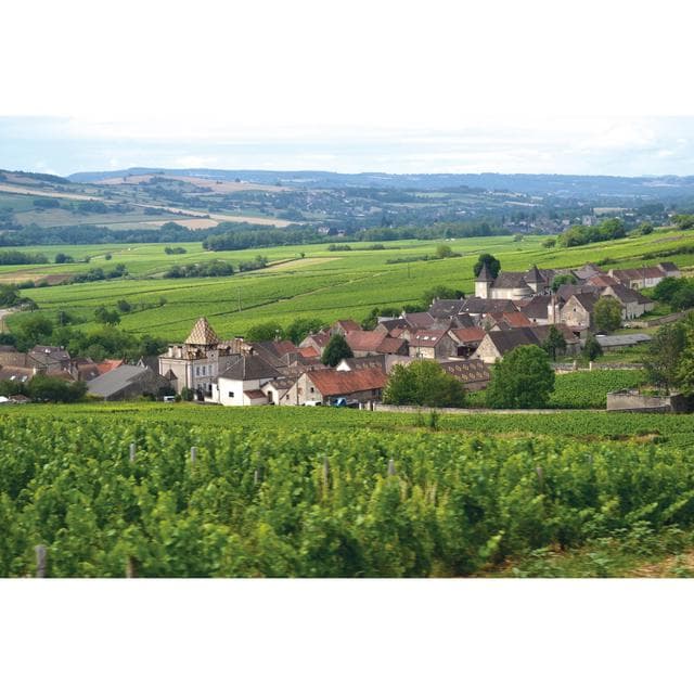 Louis Jadot Meursault White Wine 75cl - gallery image 6