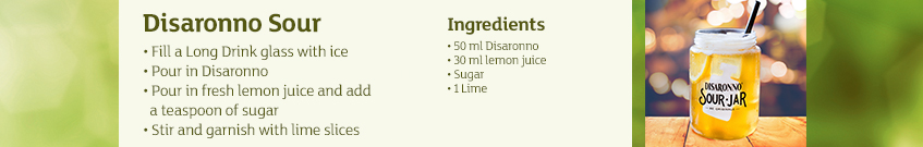 Disaronno sour recipe.